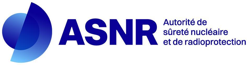 Logo ASNR développé