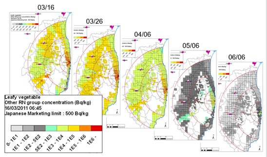 Evaluation de l’activité dans les légumes feuilles suite aux rejets accidentels de la centrale de Fukushima Daiichi avec le logiciel Symbiose