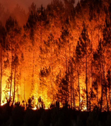 incendie tchernobyl, rapport conséquences radiologiques en France